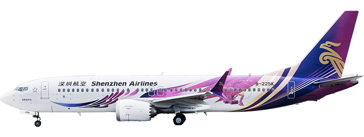 flight status