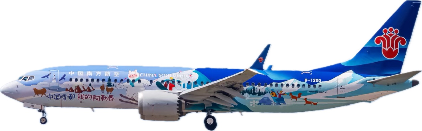 航空会社：中国南方航空 ボーイング 737 MAX 8