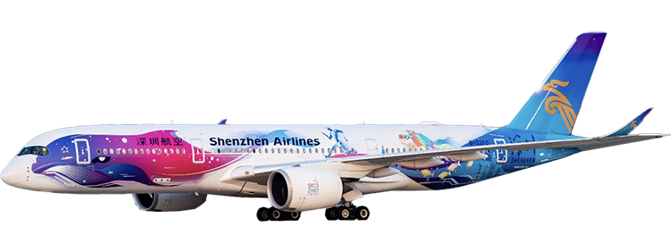 flight status
