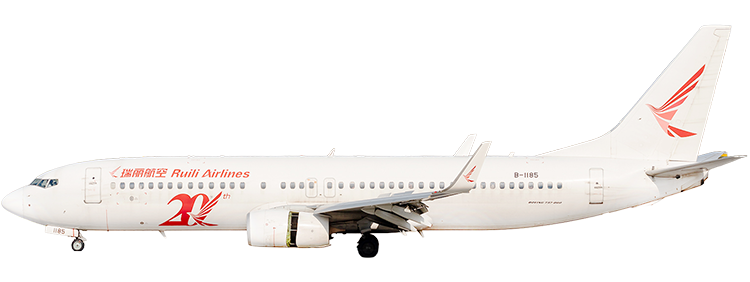 flight status