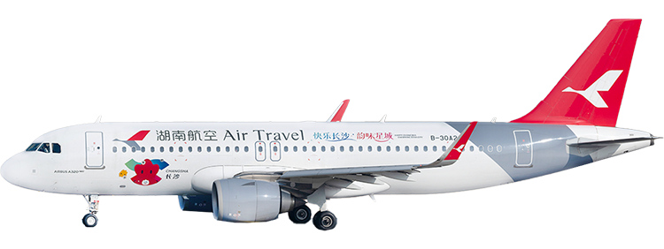 flight status