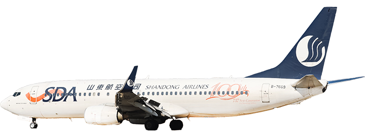 flight status