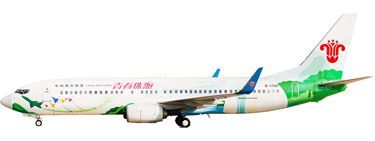 Airline: China Southern Airlines Boeing 737-800