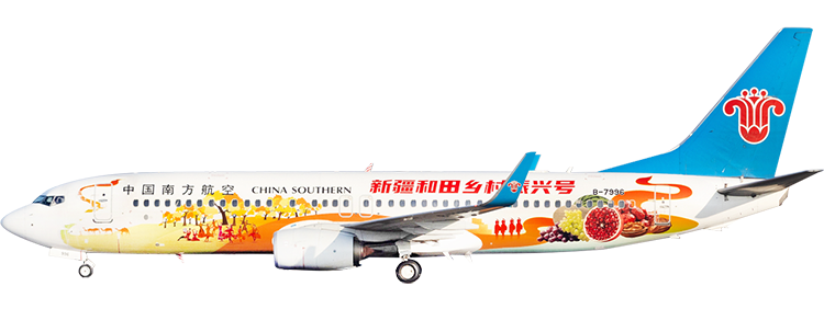 航空会社：中国南方航空 ボーイング 737-800