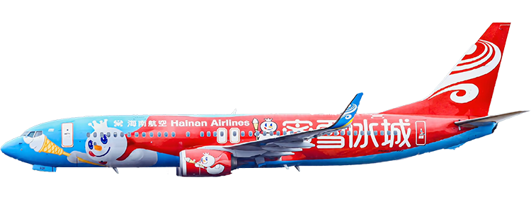 Airline: Hainan Airlines Boeing 737-800