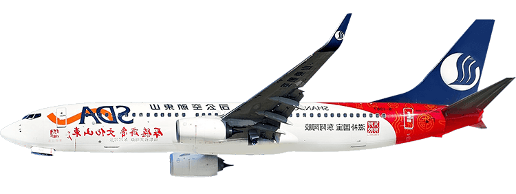 航空会社：山東航空 ボーイング 737-800