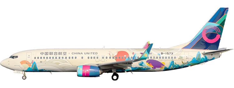 flight status