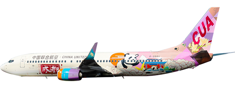 Airline: China United Airlines Boeing 737-800
