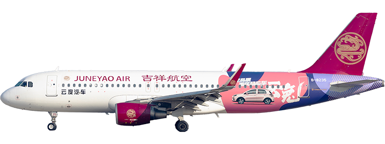 flight status