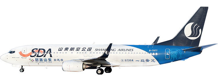 flight status