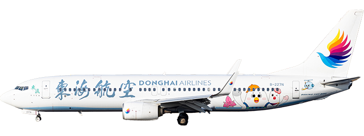 Airline: Donghai Airlines Boeing 737