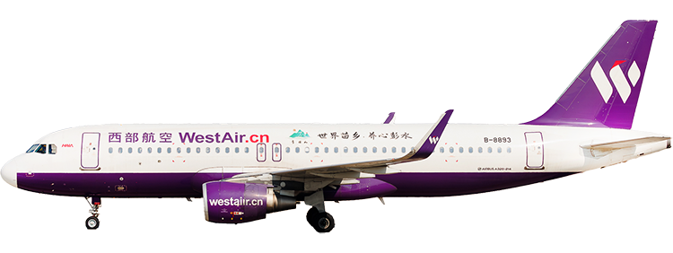 flight status