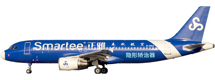 flight status