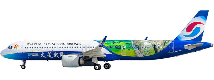 Airline: China Southern Airlines Airbus A321neo