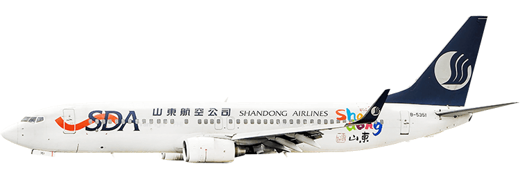 flight status